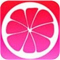 樱花8522tv播放器下载大全