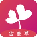▇番茄视频▇在线