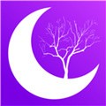 六夜正版播放器下载大全