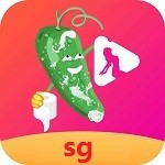 91轻量版app