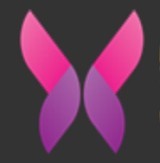 小蝌蚪app